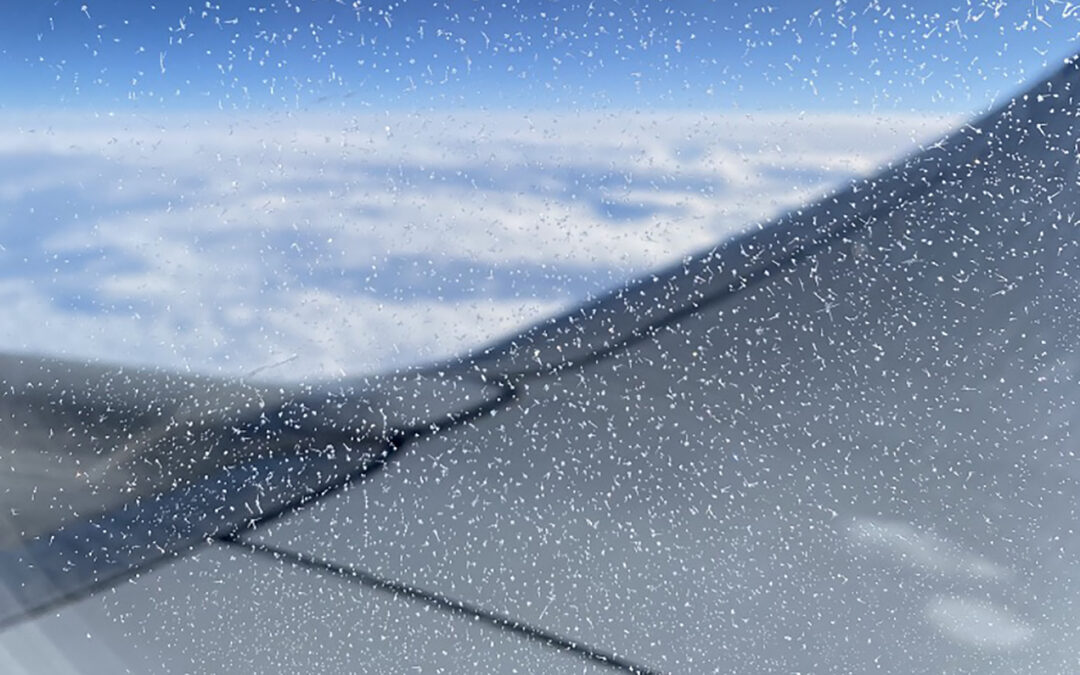 16. Onze eerste vlucht naar Nederland